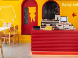 เซ้งร้านอาหาร เชียงใหม่ ตึกใบหยกจ๊าว ใจกลางเมือง ใกล้แหล่งท่องเที่ยว ใกล้วัดพระสิงห์ และถนนคนเดิน
