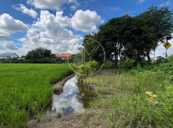 รถมือสอง อสังหาริมทรัพย์ ที่ดิน ปี 0 