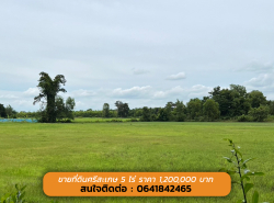 ขายด่วนนน ที่ดินสวย ทำเลดี ตัวเมืองศรีสะเกษ 5 ไร่ ราคา 1,200,000 บาท 