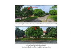 ขายบ้านเดี่ยว  หมู่บ้านนวลผ่อง พระนครศรีอยุธยา (PG-AYA-LB-A-660002)