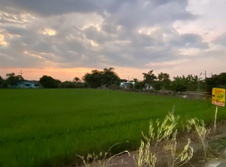 รถมือสอง อสังหาริมทรัพย์ ที่ดิน ปี 0 