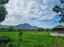 รถมือสอง อสังหาริมทรัพย์ ที่ดิน ปี 0 