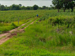 รถมือสอง อสังหาริมทรัพย์ ที่ดิน ปี 0 
