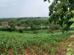 รถมือสอง อสังหาริมทรัพย์ ที่ดิน ปี 0 