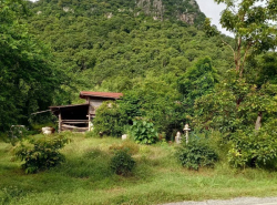 ขายด่วน! ที่ดินเปล่า ทำเลดี ใกล้เมืองนครสวรรค์ เนื้อที่ 160 ตร.ว.