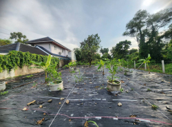 รถมือสอง อสังหาริมทรัพย์ ที่ดิน ปี 0 