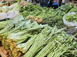 รถมือสอง อสังหาริมทรัพย์ ที่ดิน ปี 0 