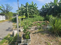 รถมือสอง อสังหาริมทรัพย์ ที่ดิน ปี 0 