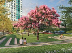 รถมือสอง อสังหาริมทรัพย์ คอนโดมิเนียม ปี 0 