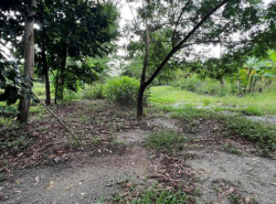 รถมือสอง อสังหาริมทรัพย์ ที่ดิน ปี 0 