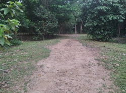 ขายที่ดินติดแม่น้ำนครนายก 9 ไร่ 50 ตำบลสาริกา อำเภอเมือง จังหวัดนครนายก