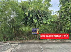 รถมือสอง อสังหาริมทรัพย์ ที่ดิน ปี 0 