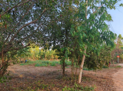 รถมือสอง อสังหาริมทรัพย์ ที่ดิน ปี 0 
