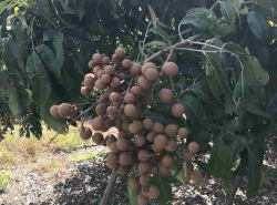 รถมือสอง อสังหาริมทรัพย์ ที่ดิน ปี 0 