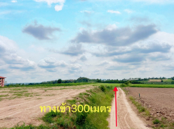 ขายที่ดินผังม่วงมาบยางพรระยอง นนสาธารณะ​เข้าออกหลายทาง ห่างจากท่าเรือแหลมฉบัง 31 กม.