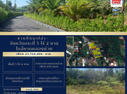 ขายที่ดินเปล่าจังหวัดกระบี่ 3 ไร่ 2 งาน ห่างจากหาดคลองม่วงเพียง 850 เมตร เขตท่องเที่ยว  