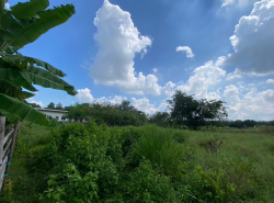 รถมือสอง อสังหาริมทรัพย์ ที่ดิน ปี 0 