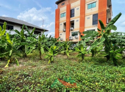 รถมือสอง อสังหาริมทรัพย์ ที่ดิน ปี 0 