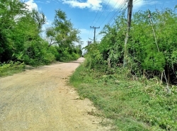 ขาย ที่ดิน ต.ปึกเตียน อ.ท่ายาง จ.เพชรบุรี    PAPC2_0009 C004