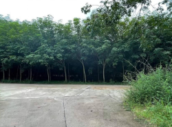 ขายที่ดินพร้อมสวนยางหนองละลอก 5 ไร่ ใกล้นิคมWHA - 5.4 กม. ใกล้ถ.เส้น 3143 - 2.1 กม. อ.บ้านค่าย จ.ระยอง