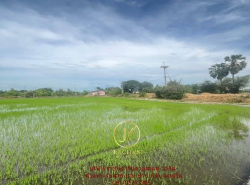 รถมือสอง อสังหาริมทรัพย์ ที่ดิน ปี 0 