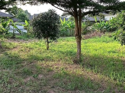 รถมือสอง อสังหาริมทรัพย์ ที่ดิน ปี 0 