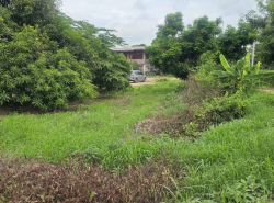 รถมือสอง อสังหาริมทรัพย์ ที่ดิน ปี 0 