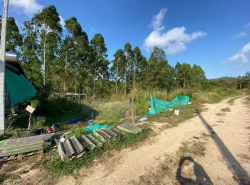 รถมือสอง อสังหาริมทรัพย์ ที่ดิน ปี 0 