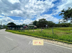 รถมือสอง อสังหาริมทรัพย์ ที่ดิน ปี 0 