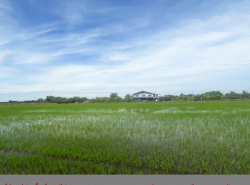 รถมือสอง อสังหาริมทรัพย์ ที่ดิน ปี 0 