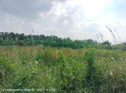 รถมือสอง อสังหาริมทรัพย์ ที่ดิน ปี 0 
