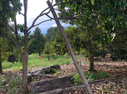 รถมือสอง อสังหาริมทรัพย์ ที่ดิน ปี 0 