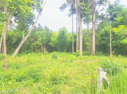 รถมือสอง อสังหาริมทรัพย์ ที่ดิน ปี 0 