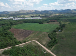 อสังหาริมทรัพย์ - ที่ดิน