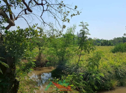 รถมือสอง อสังหาริมทรัพย์ ที่ดิน ปี 0 