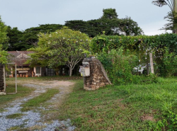อสังหาริมทรัพย์ - ที่ดิน