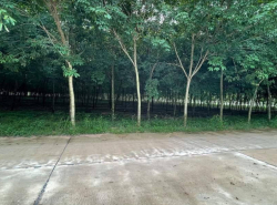 รถมือสอง อสังหาริมทรัพย์ ที่ดิน ปี 0 