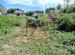 ขาย ที่ดิน ต.ปึกเตียน อ.ท่ายาง จ.เพชรบุรี     PAPC2_0009 C003