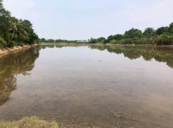 รถมือสอง อสังหาริมทรัพย์ ที่ดิน ปี 0 