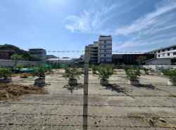 รถมือสอง อสังหาริมทรัพย์ ที่ดิน ปี 0 