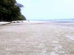 รถมือสอง อสังหาริมทรัพย์ ที่ดิน ปี 0 