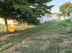 รถมือสอง อสังหาริมทรัพย์ ที่ดิน ปี 0 