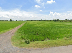 รถมือสอง อสังหาริมทรัพย์ ที่ดิน ปี 0 