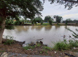 รถมือสอง อสังหาริมทรัพย์ ที่ดิน ปี 0 