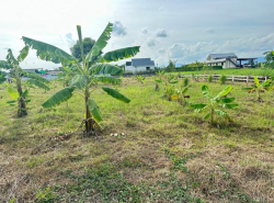 รถมือสอง อสังหาริมทรัพย์ ที่ดิน ปี 0 
