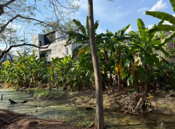 รถมือสอง อสังหาริมทรัพย์ ที่ดิน ปี 0 