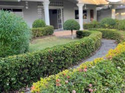 รถมือสอง อสังหาริมทรัพย์ บ้าน ปี 0 