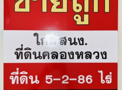 รถมือสอง อสังหาริมทรัพย์ ที่ดิน ปี 0 