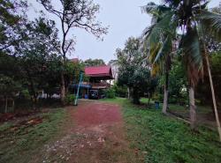 รถมือสอง อสังหาริมทรัพย์ ที่ดิน ปี 0 