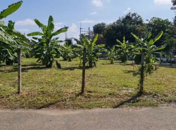 รถมือสอง อสังหาริมทรัพย์ ที่ดิน ปี 0 